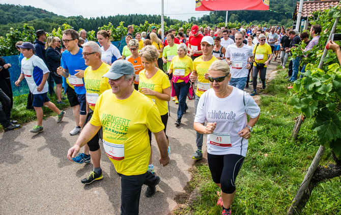 8. Wengert Wetzede - Bild 17_16