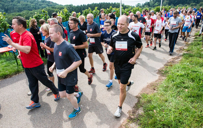 8. Wengert Wetzede - Bild 20_19