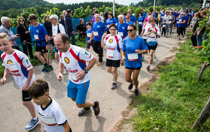 8. Wengert Wetzede - Bild 22_21