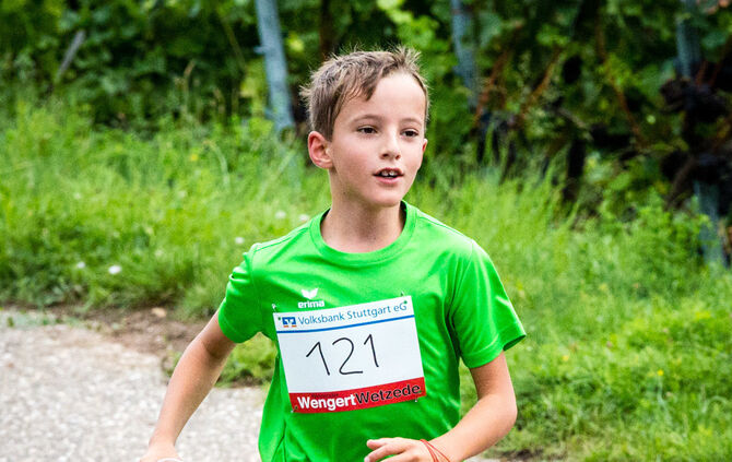 8. Wengert Wetzede - Bild 68_67