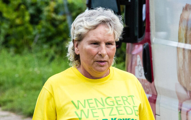 8. Wengert Wetzede - Bild 95_94