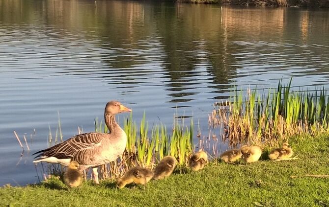 049f0fcc-c333-42be-8a9c-aecf3398e999.jpg_2