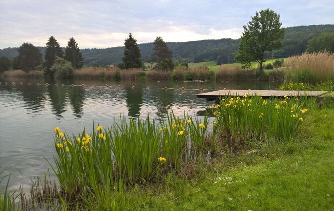 Badesee Plüderhausen_7