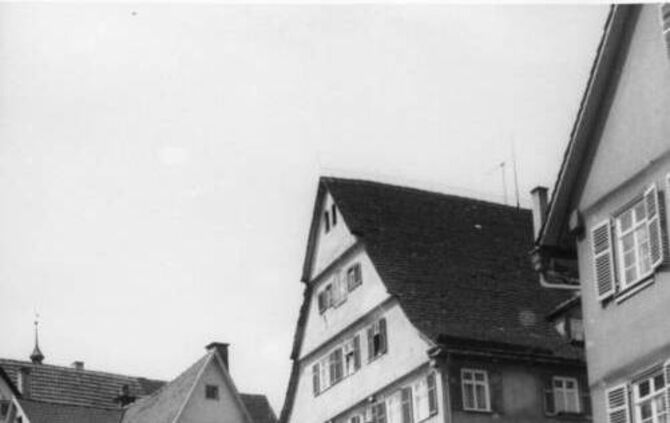 08f1b026-1e28-495a-8800-fc9226a2cb1c.jpg_1