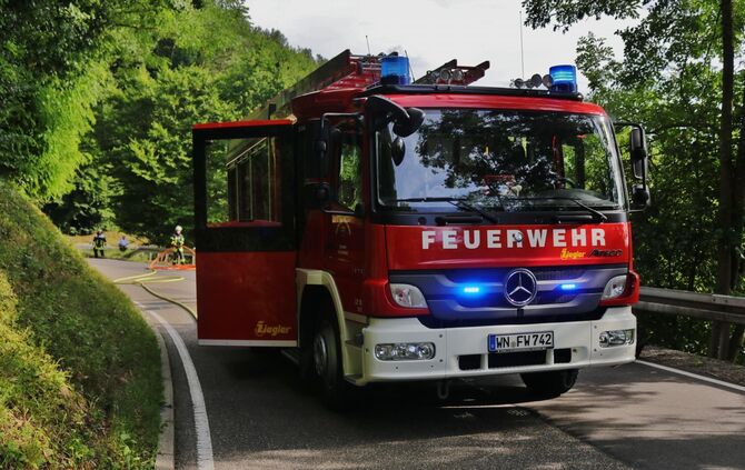 FlÃ¤chenbrand am StraÃenrand - Feuerwehr Schornbach lÃ¶scht mehrere Qudrarmeter brennende Wiese_0