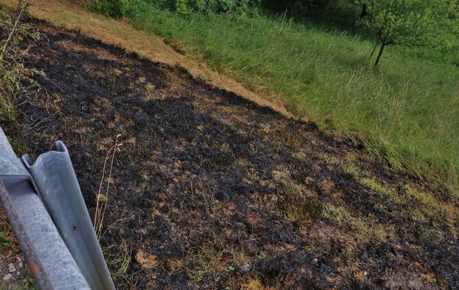 FlÃ¤chenbrand am StraÃenrand - Feuerwehr Schornbach lÃ¶scht mehrere Qudrarmeter brennende Wiese_2