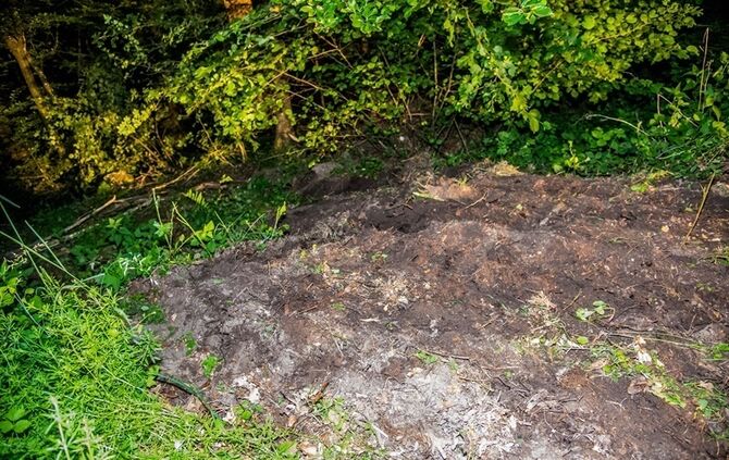 Opelfahrerin fährt in Kurve geradeaus in den Wald - Bild 09_14