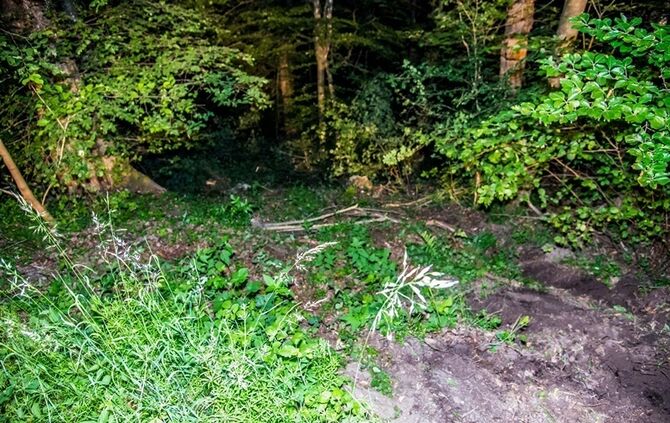 Opelfahrerin fährt in Kurve geradeaus in den Wald - Bild 07_16