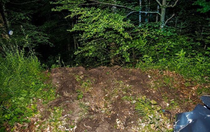 Opelfahrerin fährt in Kurve geradeaus in den Wald - Bild 19_18