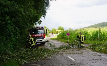 Pluederhausen: mehrere Sturmschaeden im Ort 
