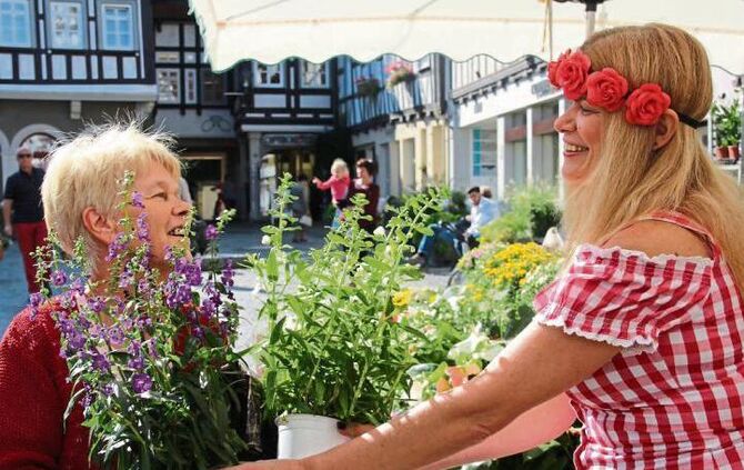 6741632a-f175-4e1b-99db-4decfc2ec127.jpg_0