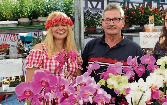 d695a957-626a-4ec6-85d7-259d04284392.jpg_1