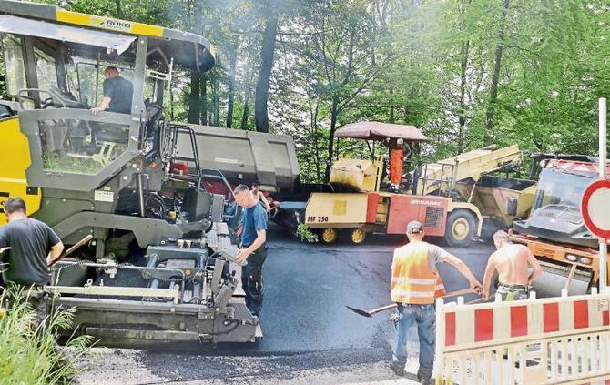 5a3f7efe-e0dd-4e14-a4de-5f54d9beb1f4.jpg_0