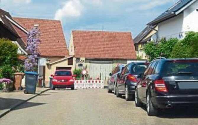 86ebf678-67da-4585-ad0d-ff7708ca1496.jpg_1