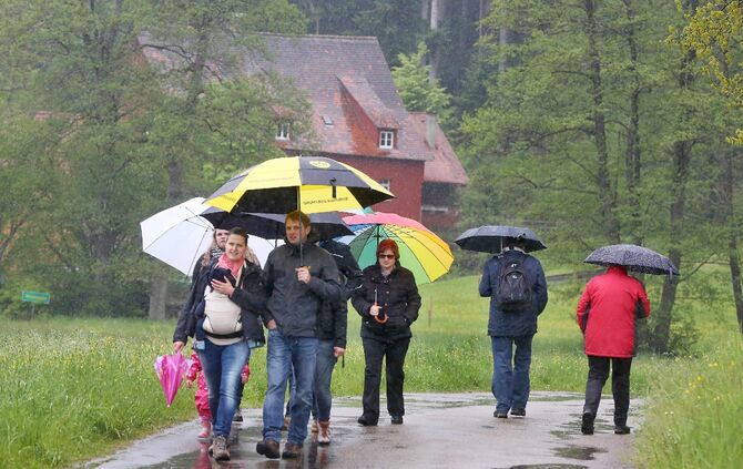 Mühlentag Mai 2016_8