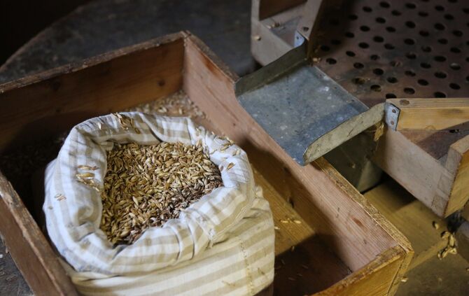 Mühlentag Mai 2016_18