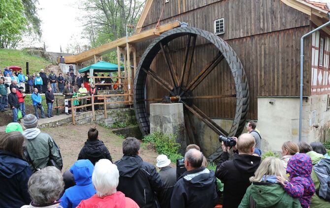 Mühlentag Mai 2016_24