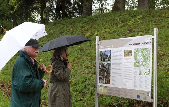 Mühlentag Mai 2016_25