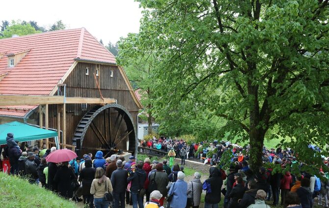 Mühlentag Mai 2016_28