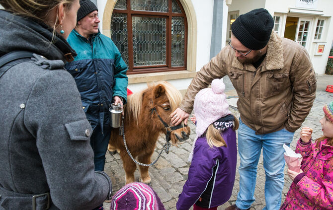 Impressionen von der Weihnachtswelt auf dem Marktplatz_42