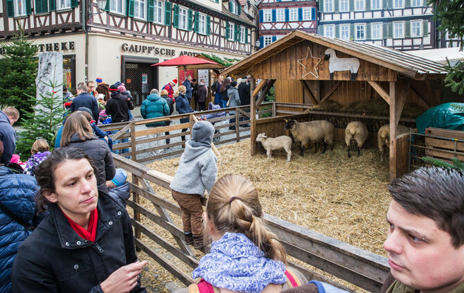 Impressionen von der Weihnachtswelt auf dem Marktplatz_47