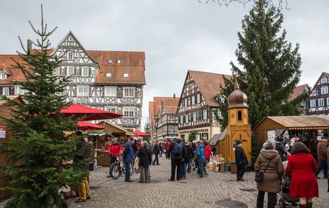 Impressionen von der Weihnachtswelt auf dem Marktplatz_52
