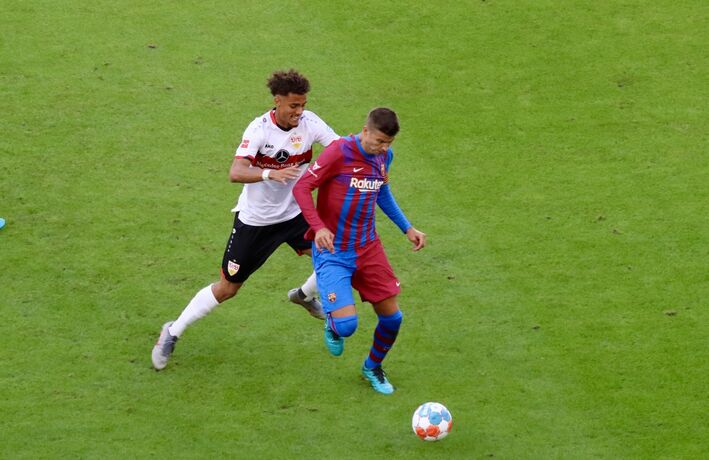 Manuel Polster