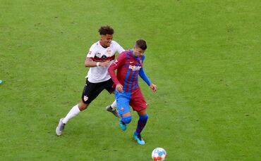 Manuel Polster