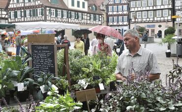 Regionaler Markt in Schorndorf