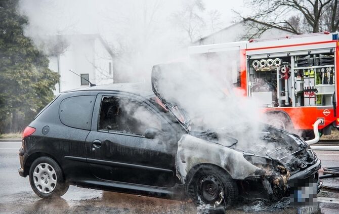 Peugeot brennt auf der B14 vollständig aus - Bild 03_2