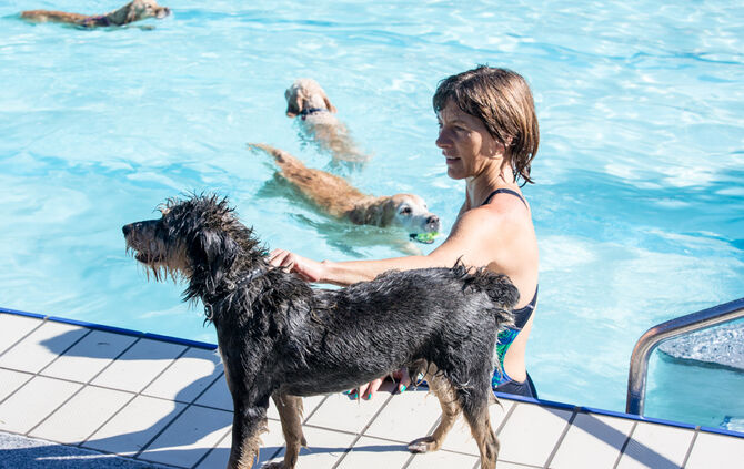 Planschparty für Hunde - Bild 01_1