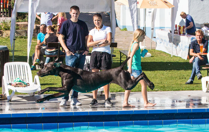 Planschparty für Hunde - Bild 07_6