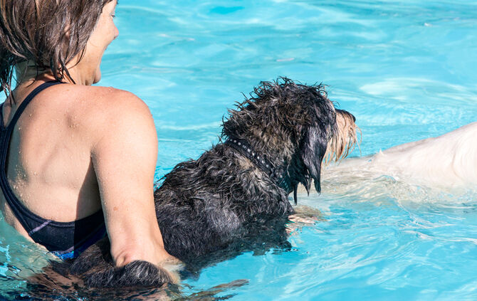 Planschparty für Hunde - Bild 10_9