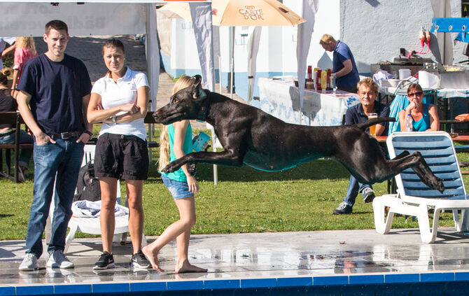 Planschparty für Hunde - Bild 13_12