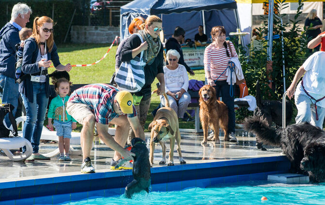 Planschparty für Hunde - Bild 14_13