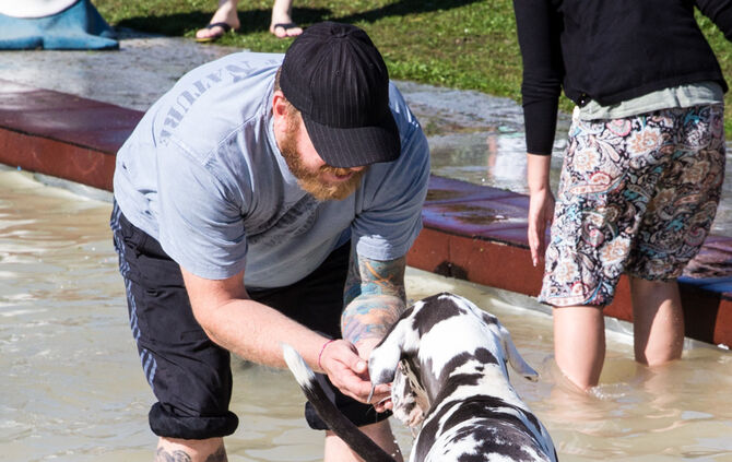 Planschparty für Hunde - Bild 17_16