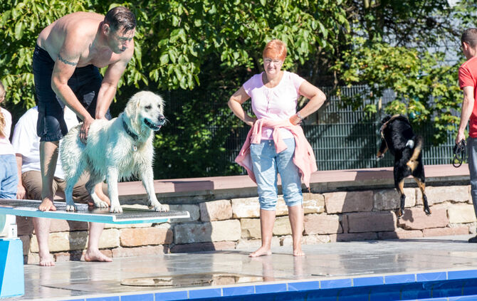 Planschparty für Hunde - Bild 18_17