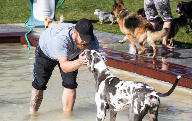 Planschparty für Hunde - Bild 23_22