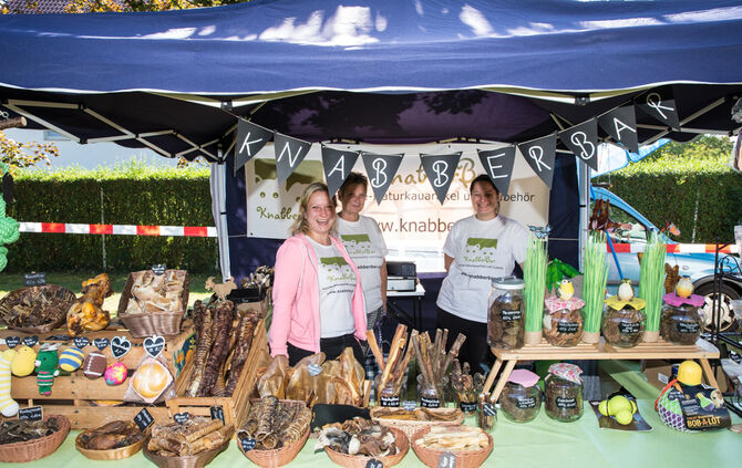 Planschparty für Hunde - Bild 40_38