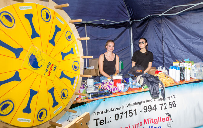 Planschparty für Hunde - Bild 42_40