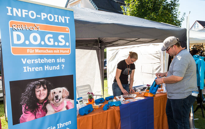 Planschparty für Hunde - Bild 45_43