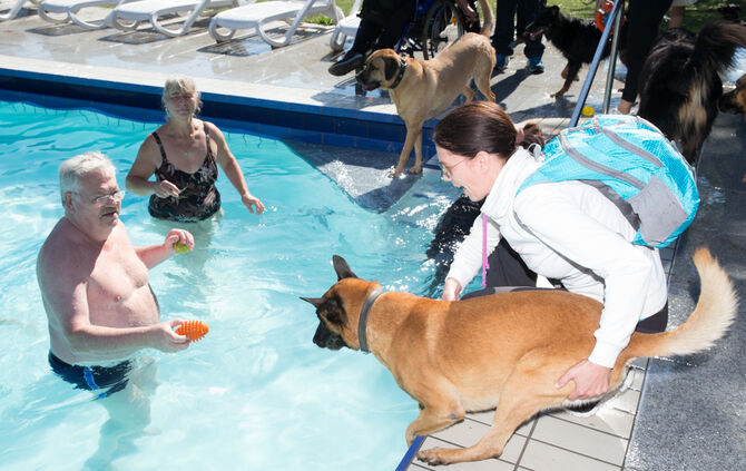 Planschparty für Hunde - Bild 50_47