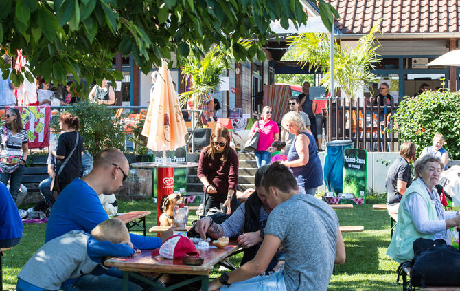 Planschparty für Hunde - Bild 51_48