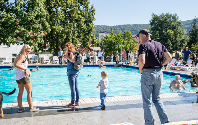 Planschparty für Hunde - Bild 54_51