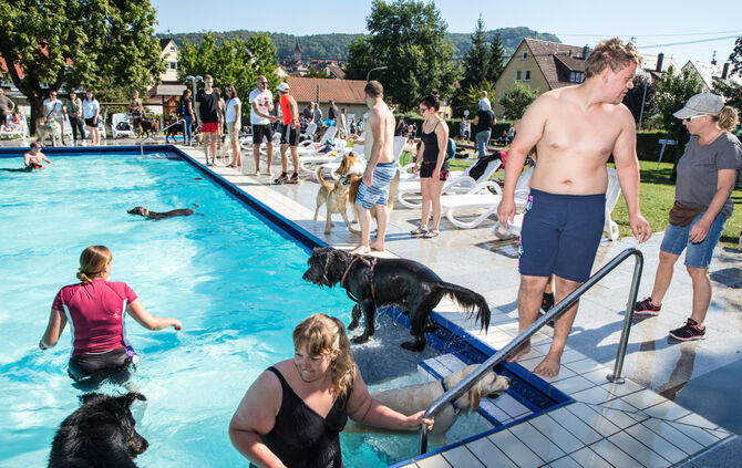 Planschparty für Hunde - Bild 57_54