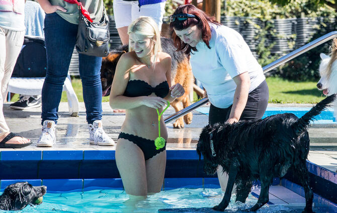 Planschparty für Hunde - Bild 58_55