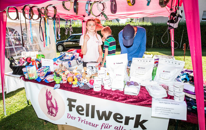 Planschparty für Hunde - Bild 61_57