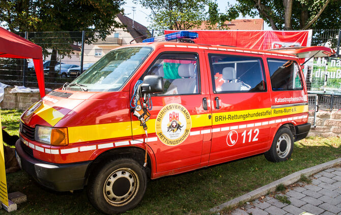 Planschparty für Hunde - Bild 63_59