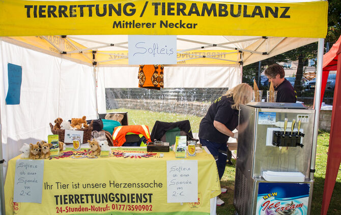 Planschparty für Hunde - Bild 64_60