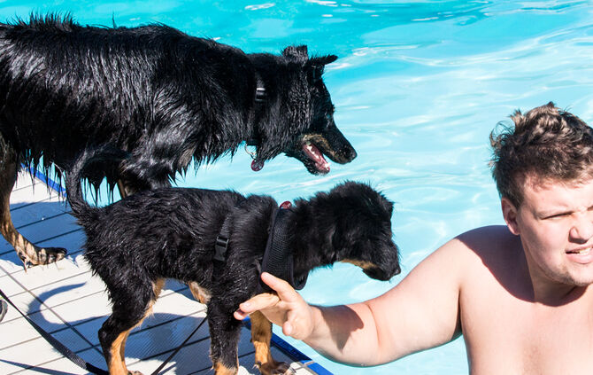 Planschparty für Hunde - Bild 68_64